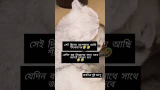 সেই দিনের অপেক্ষায় আছি funny shortvideo viralvideo comedy [upl. by Hubsher]