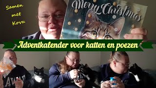 Adventskalender voor katten en poezen maak ik open samen met Kovu [upl. by Rodl733]