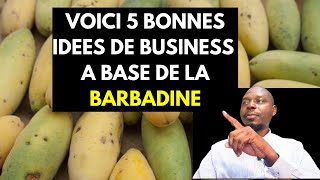 Voici 5 Bonnes Idées de Business à Base de BARBADINE ou GRENADILLE GEANTE [upl. by Eizzil]