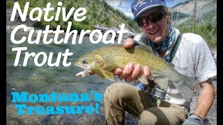 Montana Backcountry Fly Fishing [upl. by Sedberry]