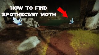 How to find Apothecary Moth [upl. by Bartholomeus]