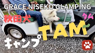 秋田犬tam：GRACE NISEKO GLAMPINGは、ペットと宿泊可能のグランピング [upl. by Yeclek990]