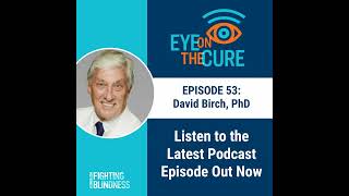 Eye on the Cure Podcast  Episode 53 David Birch PhD [upl. by Sikorski]