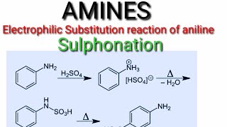 Sulphonation reaction of aniline [upl. by Kaiser177]