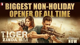 Tiger Zinda Hai  FULL MOVIE facts  Salman Khan  Katrina Kaif  Ali Abbas Zafar [upl. by Nierman645]