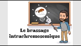 LE BRASSAGE INTRACHROMOSOMIQUE  2 TSPÉ SVT [upl. by Marijo53]