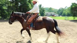 Seated vs Posting Trot and Diagonals [upl. by Johny]