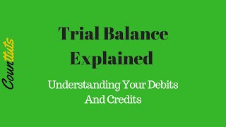 Trial Balance Explained  Understanding Your Debits And Credits [upl. by Stephi]