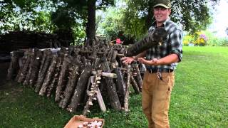 Agroforestry Cultivation of Shiitake Mushrooms [upl. by Knoll937]