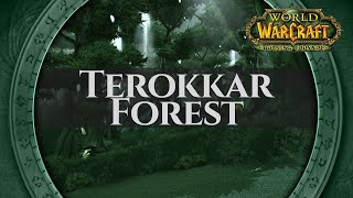 Terokkar Forest  Music amp Ambience  World of Warcraft The Burning Crusade  TBC [upl. by Elleval]