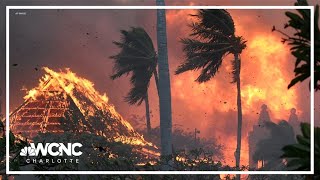 Hawaii officials urge families of people missing after deadly fires to give DNA samples [upl. by Odine143]