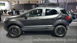 Ford EcoSport Custom Modifications [upl. by Horan]