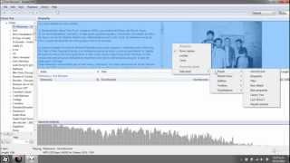 Foobar 2000 tutorial Instalacion y Customizacion basica Parte 2 [upl. by Nnylylloh]