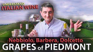 Piedmonts Wine TRILOGY Nebbiolo Barbera Dolcetto  Italian Wine 101 [upl. by Einyaj]