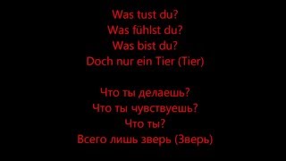 Tier  Rammstein HD Lyrics Текст песни и перевод [upl. by Dorion268]