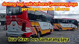 kedatangan 2 unit lagi bus Gumarang jaya persiapan untuk lebaran [upl. by Ethben]