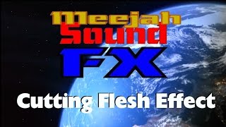 Cutting Flesh Sound Effect  Free Download [upl. by Nickles]