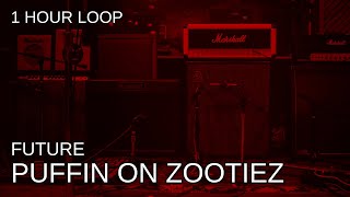 Future  Puffin On Zootiez  1 Hour Loop [upl. by Farra]