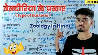 जीवाणु कितने प्रकार के होते हैं  type of bacteria in hindi  zoology [upl. by Simeon718]