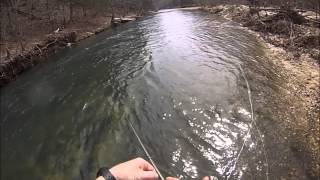 Current River Below Montauk State Park [upl. by Dnalro]