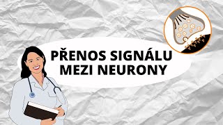 NERVOVÁ SOUSTAVA  Přenos signálu mezi neurony [upl. by Ssecnirp358]