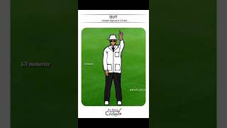 😂😂 දන්න අයටත් නොදන්න අයටත් දැන ගන්න  Umpire signals in cricket cricket cricketlover cricketnews [upl. by Hermione49]