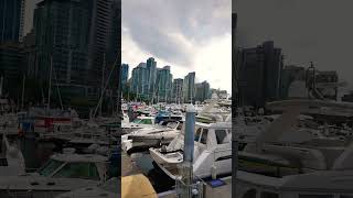 Downtown Vancouver  Coal Harbour vancouver downtown travel travelshorts canada [upl. by Ibson]