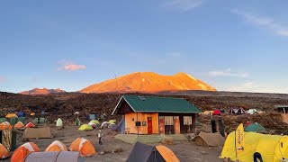 Kilimanjaro Lemosho route  July 2022 [upl. by Elkin]