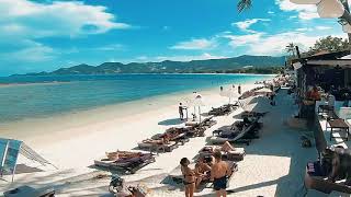 Elephant Beach Club Chaweng Beach Koh Samui Thailand [upl. by Meador586]