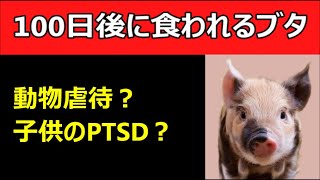 「100日後に食われるブタ」は動物虐待か？子供がPTSDになる？ [upl. by Lewendal463]