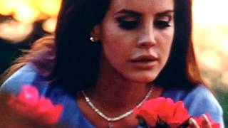 Lana Del Rey  National Anthem Acapella Filtered [upl. by Penni]