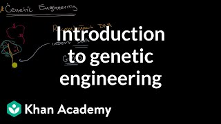 Introduction to genetic engineering  Molecular genetics  High school biology  Khan Academy [upl. by Kerrie863]