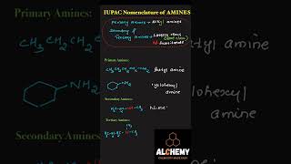 NOMENCLATURE OF AMINES chemistryeducation NEETJEE [upl. by Bigg784]