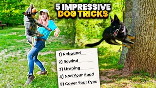 Amaze Your Friends with These 5 EasytoLearn Dog Tricks [upl. by Asilef799]