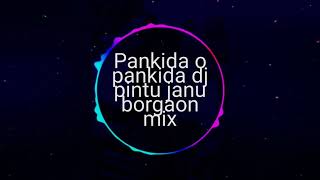 Pankida banjo dj pintu borgaon mix [upl. by Selma]