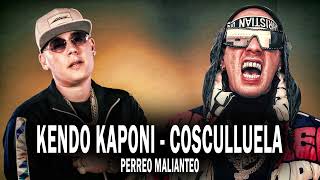 PERREO MALIANTEO  KENDO KAPONI 2024 COSCULLUELA  kendokaponi cosculluela reggaeton malianteo [upl. by Thant]