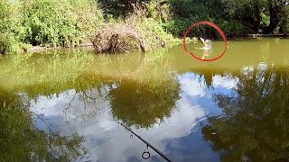 Jai pêché au leurre MAIS quand jai vu ça jai changé ma pêche Carpe en rivière [upl. by Macmillan]