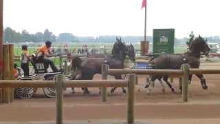 Ronde Koos de NED CH M A4 Alltech FEI WEG Caen Normandy FRA 2014 Marathon O 1 06 09 2014 [upl. by Eelyr]