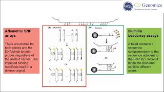 SNP Genotyping Technologies [upl. by Llerrehc]