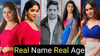 Aaina New Serial Cast Real Name And Real Age Full Details  Sunaina  Naman  TM [upl. by Hennessy]