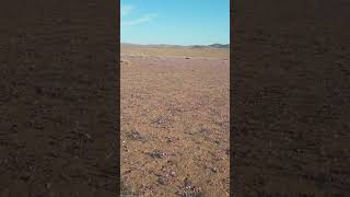 Desierto Florido fpvporelmundo aerialphotography dji desert [upl. by Eniamrehc]