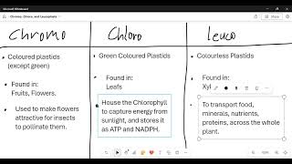 Chromo Chloro Leucoplasts  Cells [upl. by Perce]