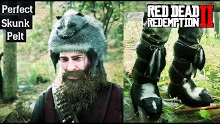 Where To Find A Skunk  Red Dead Redemption 2 Perfect Pelt Location Guide RDR2 [upl. by Solim]