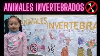 Clasificación de ANIMALES INVERTEBRADOS para niños [upl. by Euphemia]