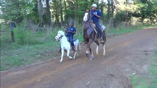 Little White Shetland Pony on a Trail Ride in Texas LiL Big Block [upl. by Eelyahs]