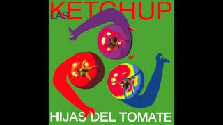 Las Ketchup  The Ketchup Song Asereje Hippy Version [upl. by Runkle480]