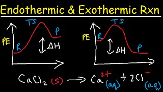 Endothermic and Exothermic Reactions [upl. by Adnawed]