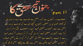 Junoon Tere Ishq Ka  Epi 13  Compelet Novel  Audio Novel [upl. by Lenaj]