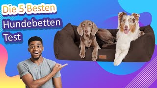 Die 5 Besten Hundebetten Test [upl. by Ahsekim]