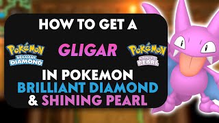 How To Get Gligar In Pokemon Brilliant Diamond amp Shining Pearl [upl. by Yob347]